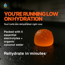 Citrus Electrolytes Gummies